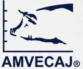 AMVECAJ